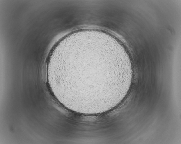 X0000110911223200907301534