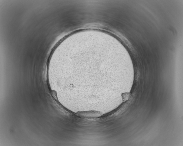 X0000110911224200907301534