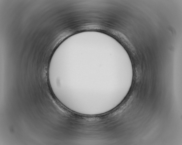 X0000110911225200907301534