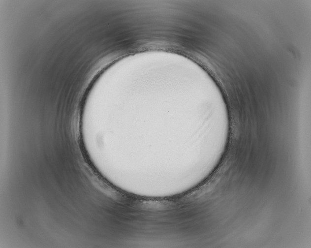 X0000110911227200907301534