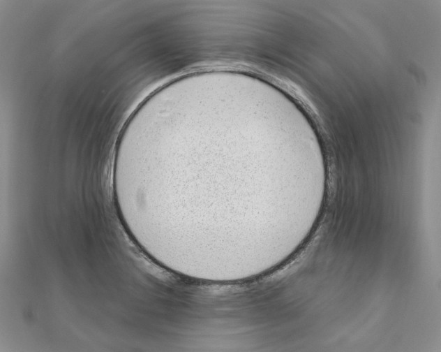 X0000110911228200907301535