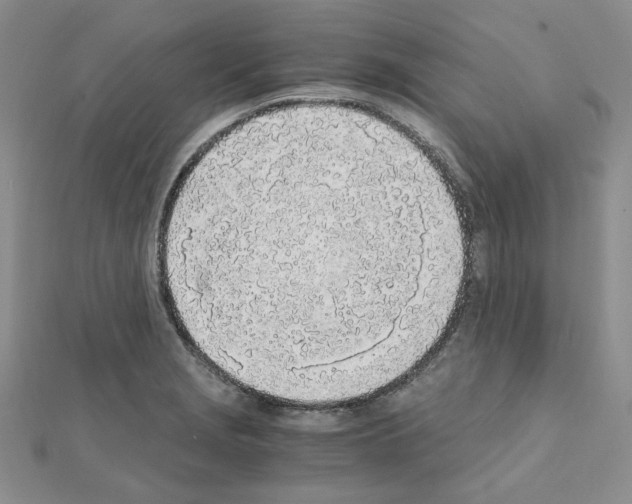 X0000110911229200907301535