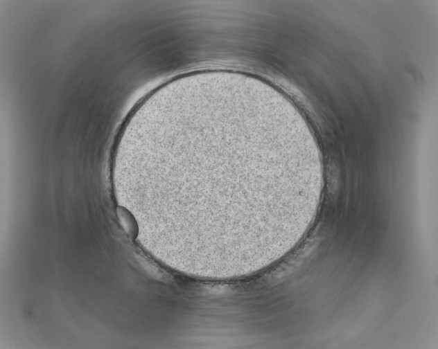 X0000110911230200907301535