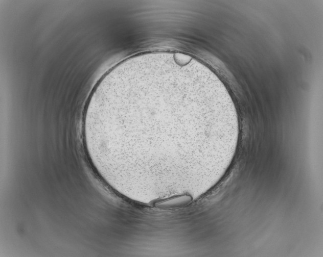 X0000110911234200907301535