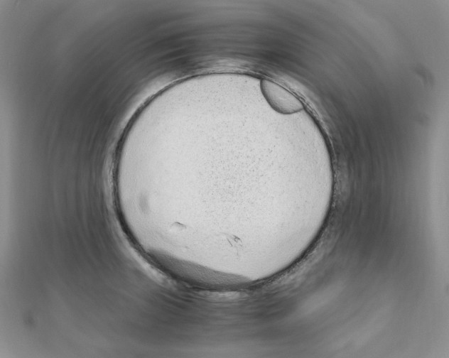 X0000110911235200907301535