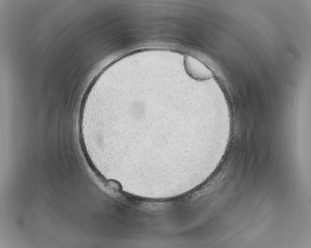 X0000110911237200907301535