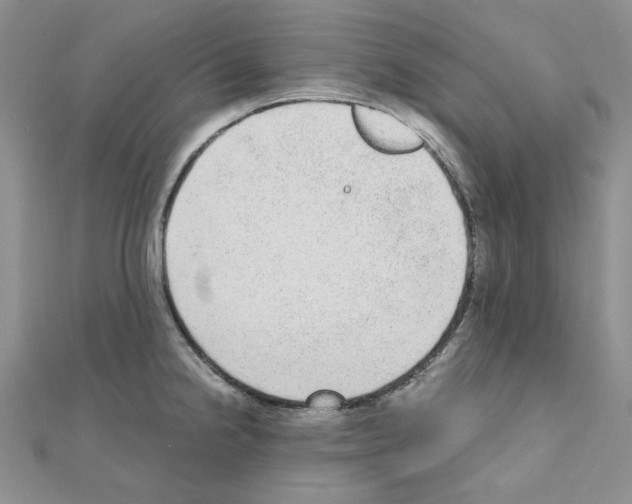 X0000110911238200907301535