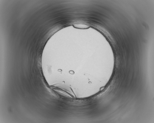 X0000110911241200907301535