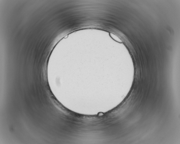 X0000110911242200907301535