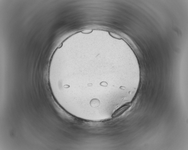 X0000110911244200907301535