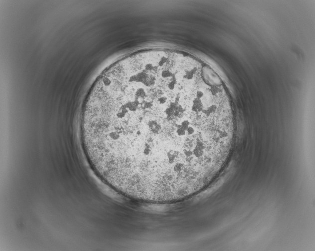 X0000110911245200907301535