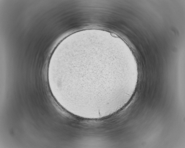 X0000110911246200907301535