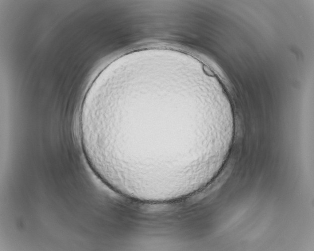 X0000110911247200907301535