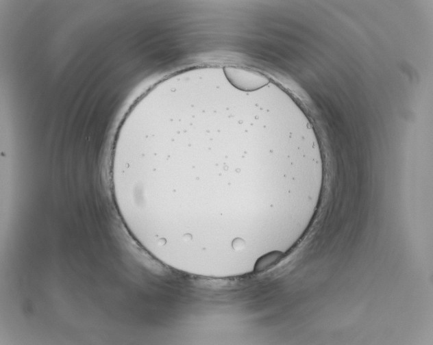 X0000110911248200907301535