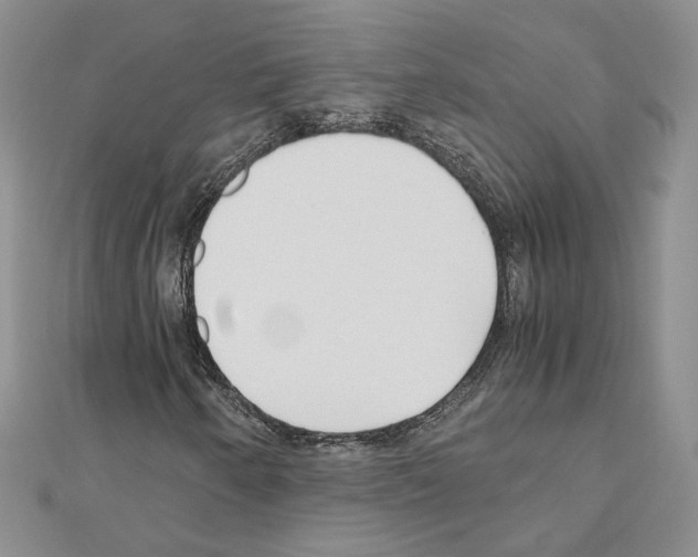 X0000110911250200907301534