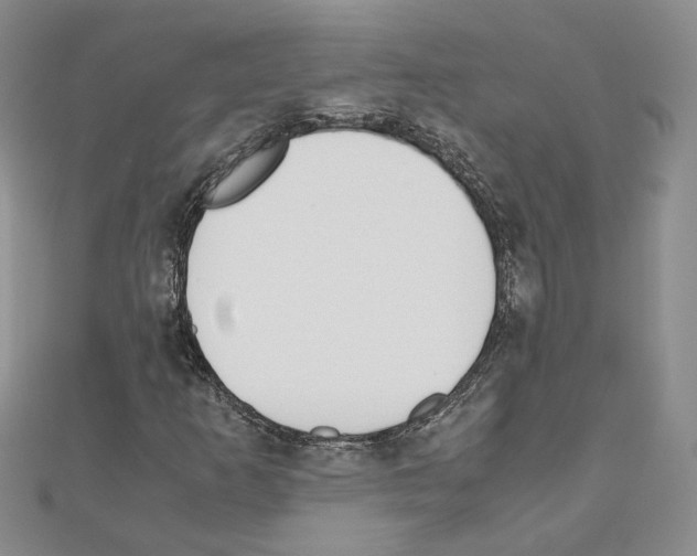 X0000110911253200907301534