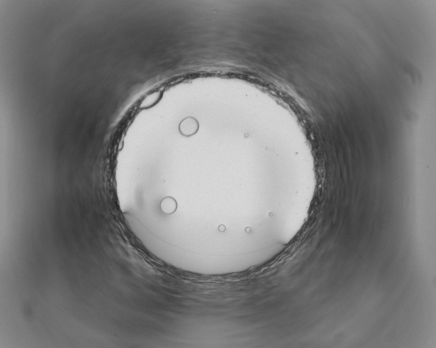 X0000110911256200907301534