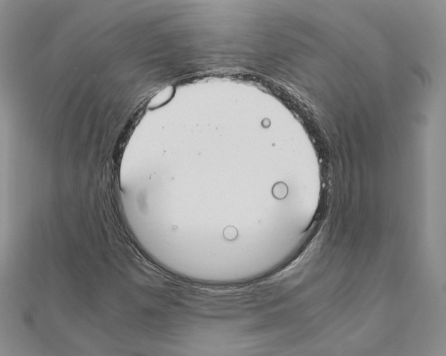 X0000110911257200907301534