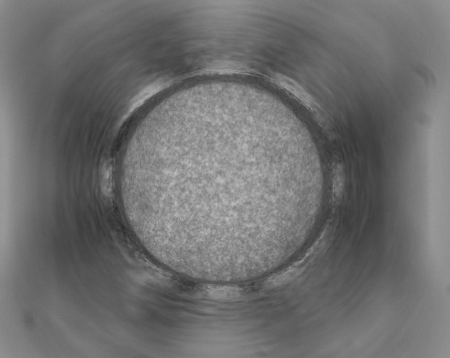 X0000110911258200907301534