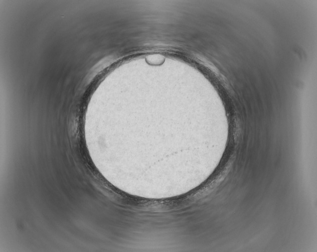 X0000110911259200907301534