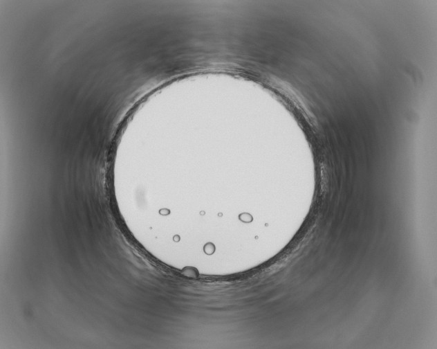 X0000110911260200907301534