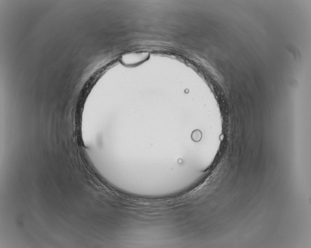 X0000110911261200907301534