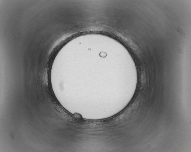 X0000110911262200907301534