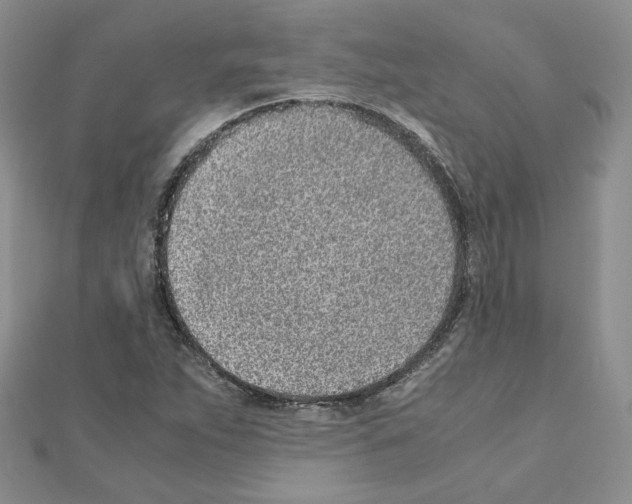 X0000110911263200907301534