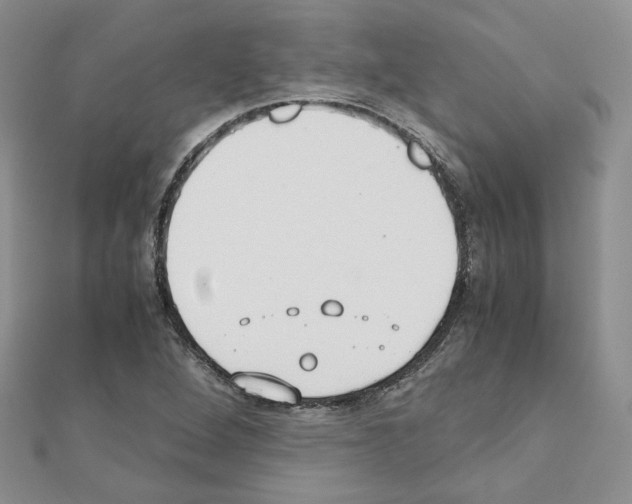 X0000110911264200907301534