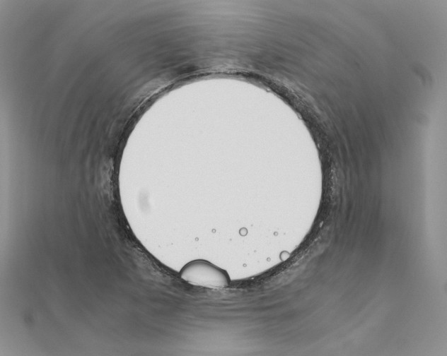 X0000110911265200907301534