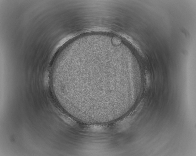 X0000110911266200907301534