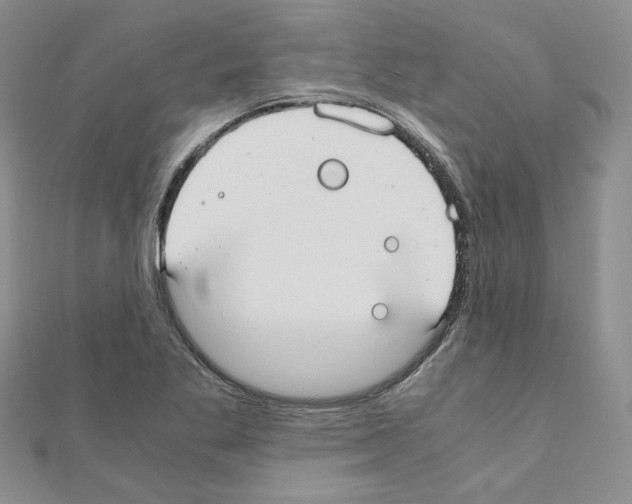 X0000110911269200907301534