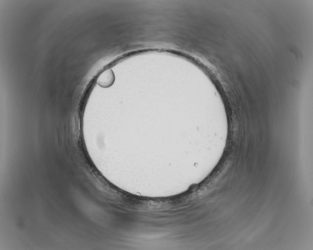 X0000110911271200907301534