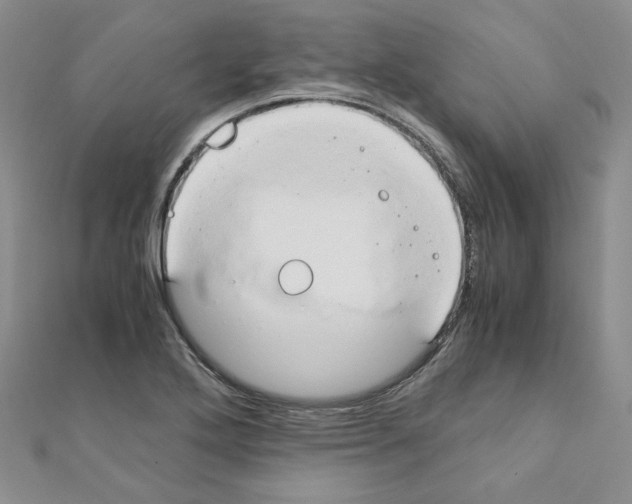 X0000110911272200907301534