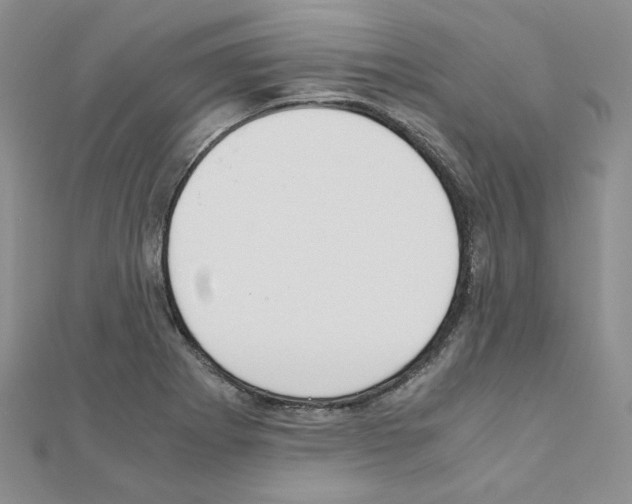 X0000110911273200907301534