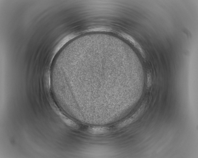 X0000110911274200907301534