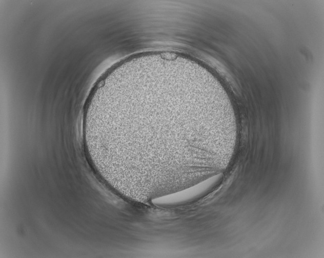 X0000110911275200907301534