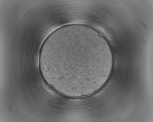 X0000110911276200907301534