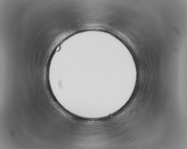 X0000110911277200907301534