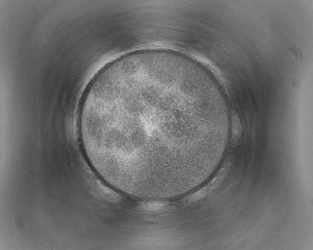 X0000110911278200907301534