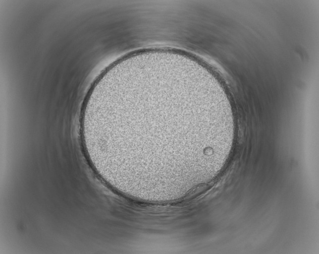 X0000110911279200907301534