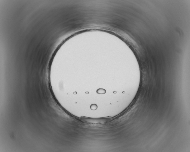 X0000110911280200907301534