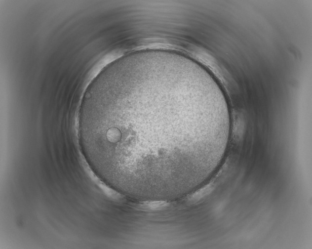 X0000110911282200907301534