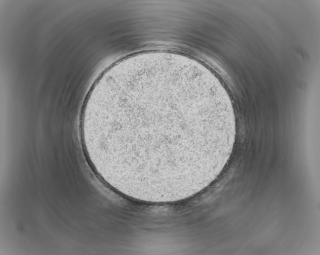 X0000110911283200907301534