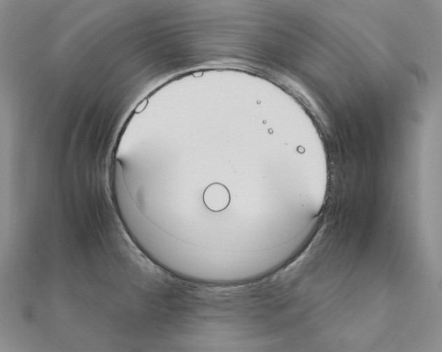 X0000110911284200907301534