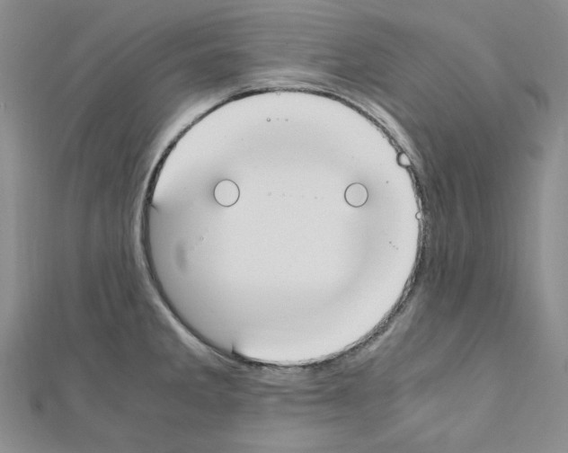 X0000110911285200907301534