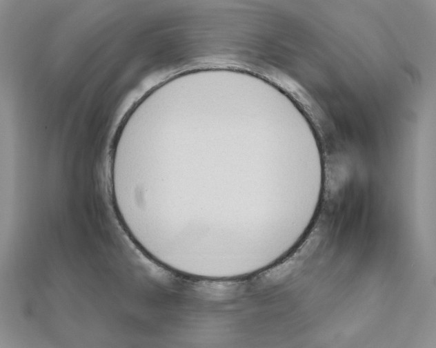 X0000110911286200907301534