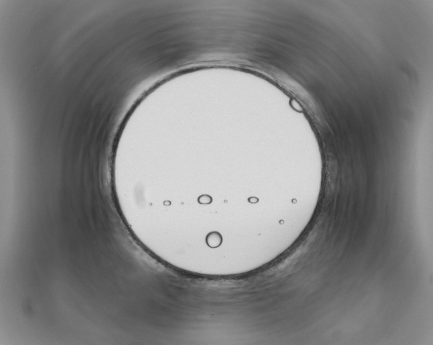 X0000110911288200907301534