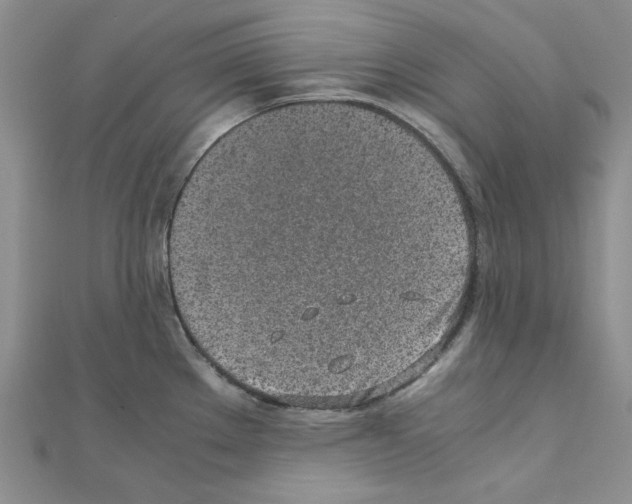 X0000110911289200907301534