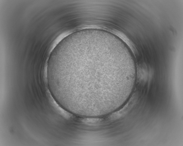 X0000110911290200907301534